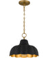 Leanne 1-light Pendant Matte Black