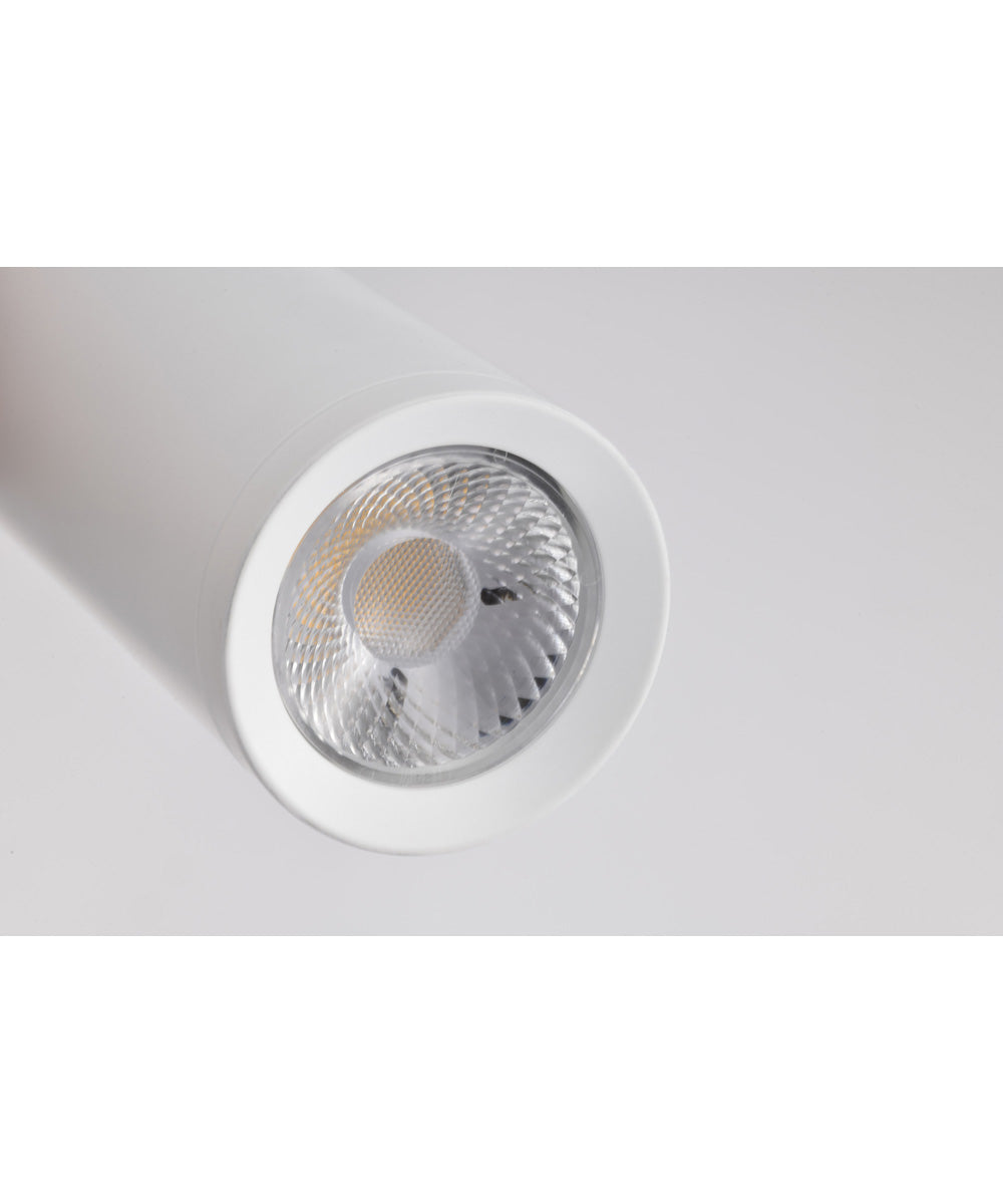 Century  Pendant Matte White