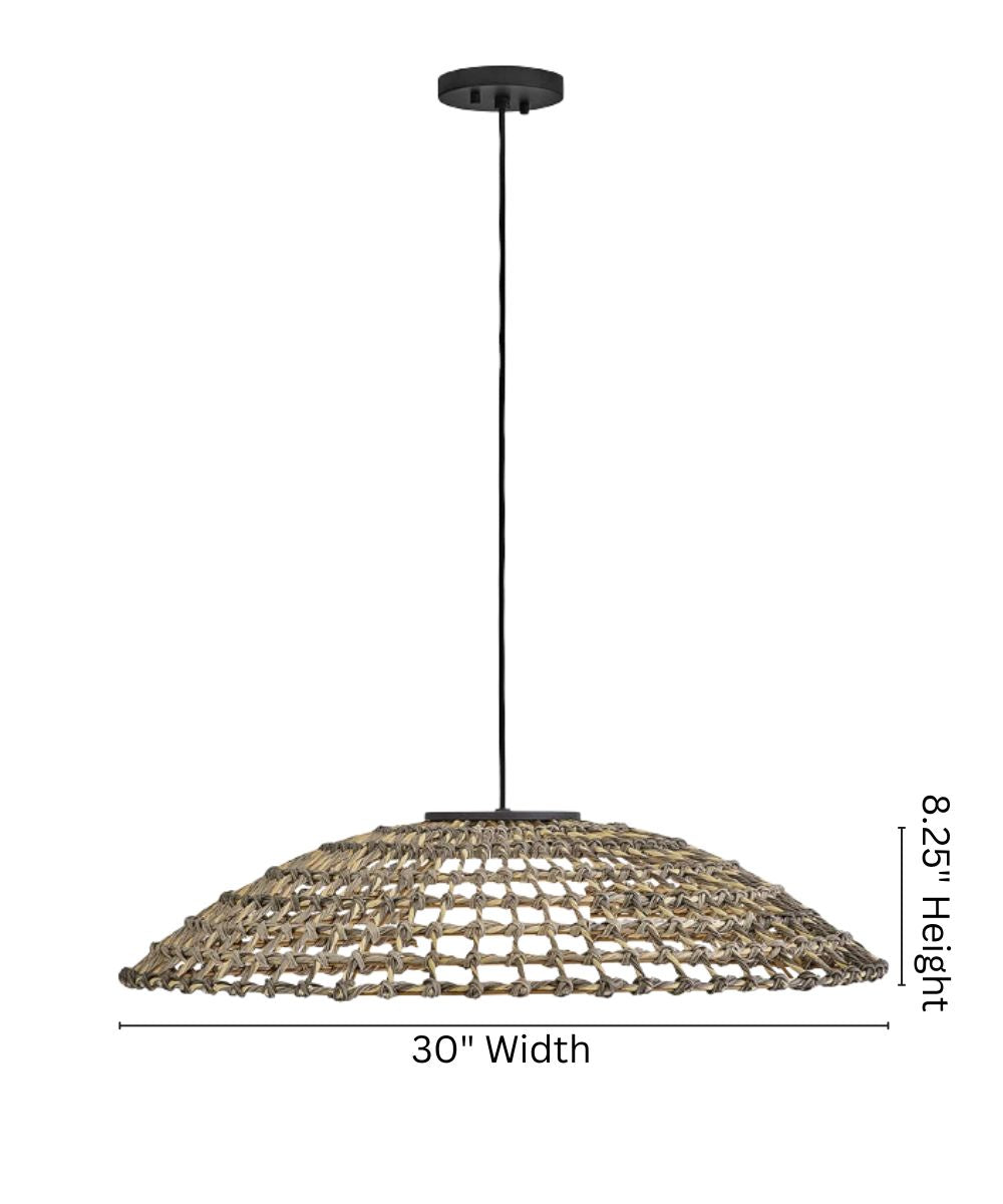 Arlen 1-Light Large Hanging Pendant 12v in Black