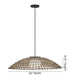 Arlen 1-Light Large Hanging Pendant 12v in Black