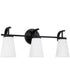 Drake 3-Light Vanity Matte Black