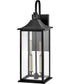 Nolan 2-Light Medium Wall Mount Lantern in Black