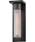 Voight 1-Light Medium Wall Mount Lantern in Black