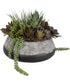 Yuma Succulent Centerpiece