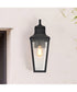 Lawrence 1-Light Outdoor Matte Black