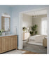 Ilia 3-Light Bath Vanity with Clear Glass Shade Brushed Nickel