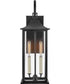 Nolan 2-Light Medium Wall Mount Lantern in Black