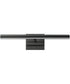 Rubelle 18.5 inch LED Picture Light Black