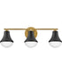 Haddie 3-Light Medium Three Light Vanity in Black