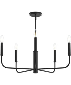 Reines 5-Light Medium Chandelier Matte Black
