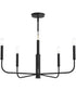 Reines 5-Light Medium Chandelier Matte Black