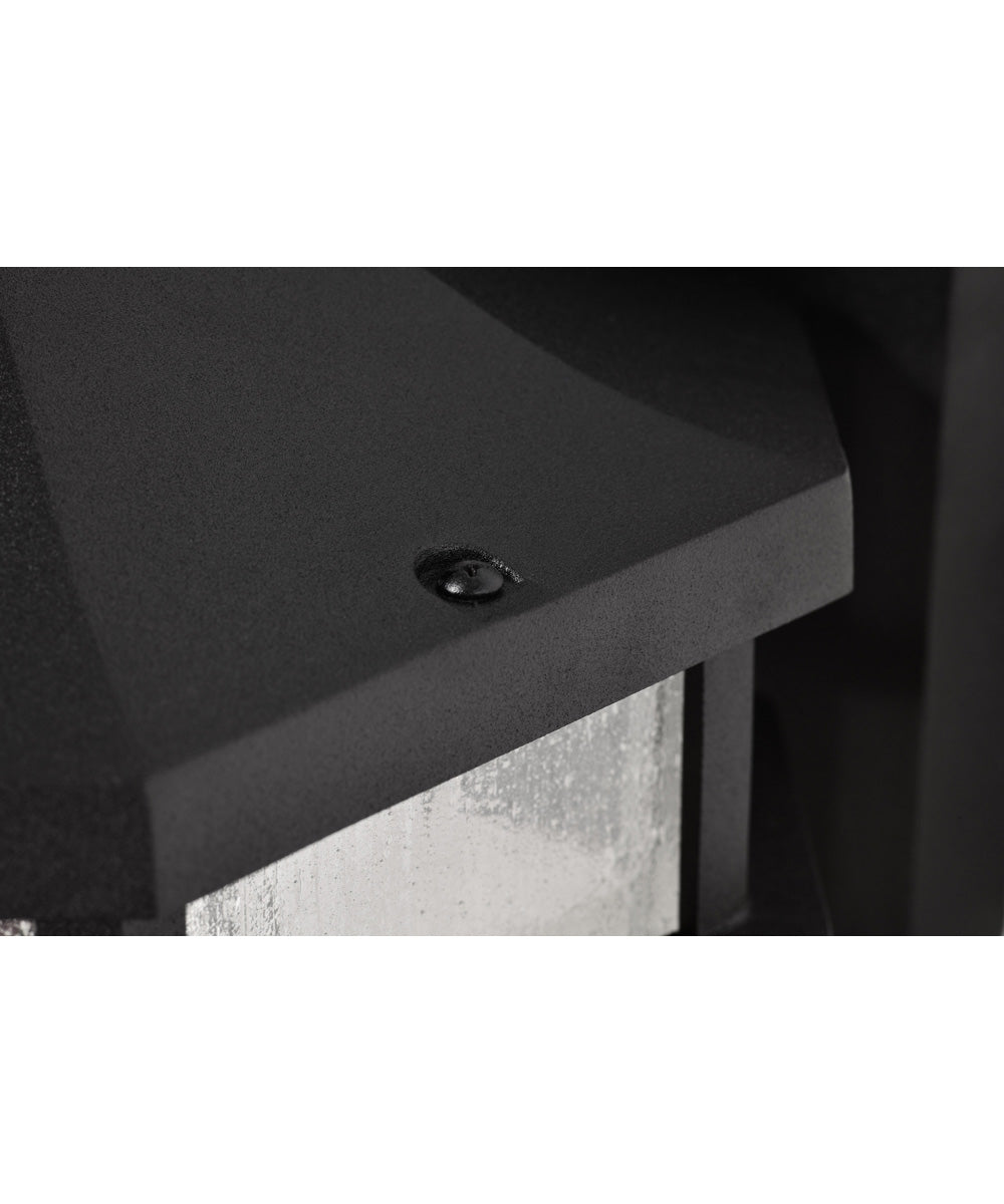 Raiden 1-Light Outdoor Matte Black