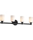 Solara 4-Light Vanity & Wall Matte Black