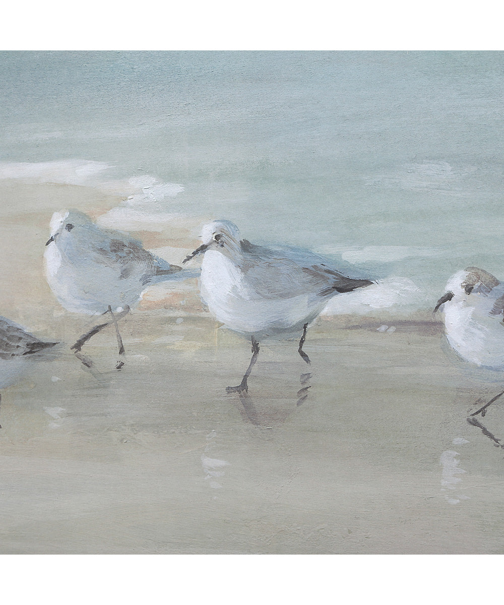 Tranquil Shorebirds On The Sand Framed Print