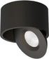 Fulcrum LED Flush Mount w Gimbal Black