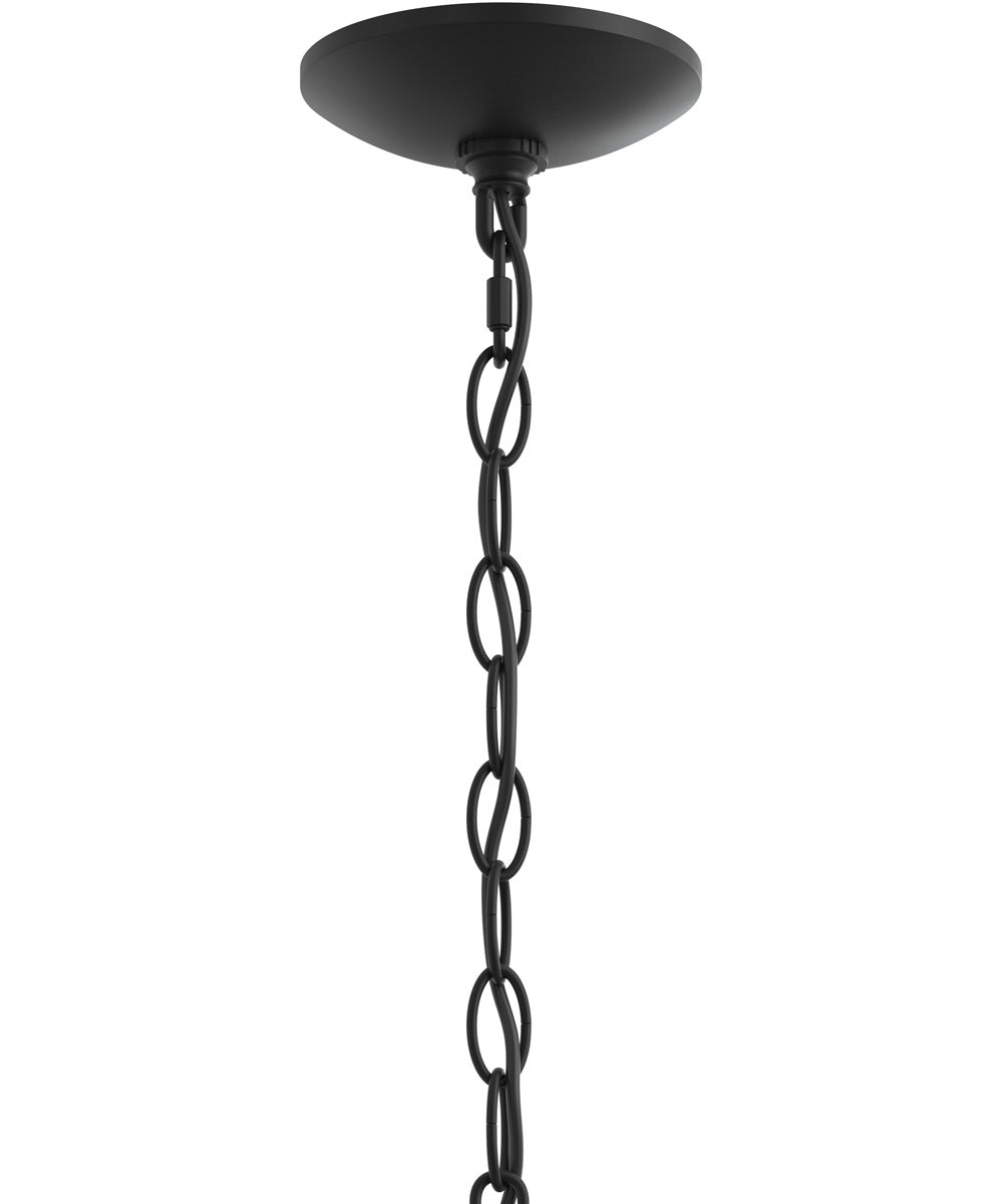 Ilia 5-Light Chandelier Matte Black