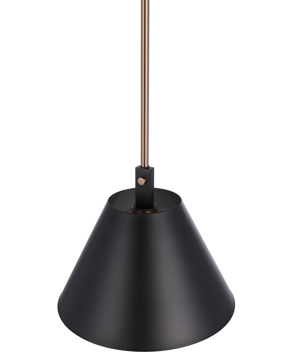 Blake 1-Light Lighting Flat Black/Satin Brass