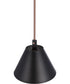 Blake 1-Light Lighting Flat Black/Satin Brass