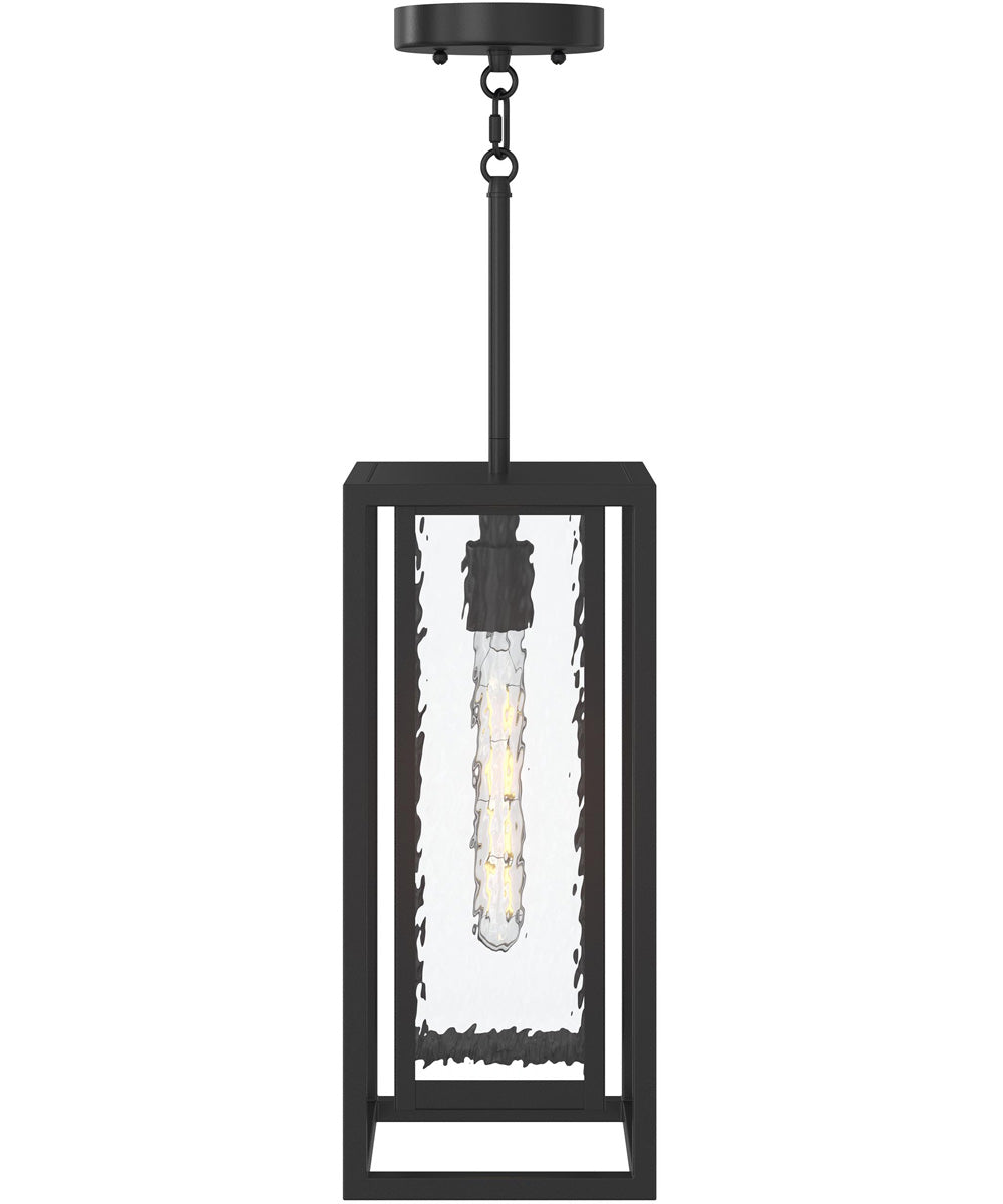 Shaw 17 Inch 1 Light Outdoor Pendant with Clear Glass Textured Black