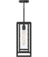 Shaw 17 Inch 1 Light Outdoor Pendant with Clear Glass Textured Black