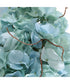 Tranquil Blooms In Glass Vases Set of 2