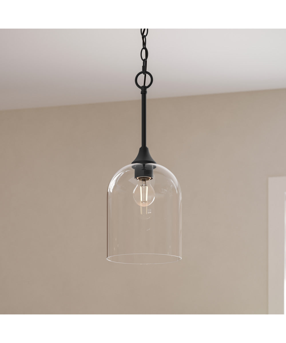 Ilia 1-Light Pendant with Clear Glass Shade Matte Black