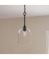 Ilia 1-Light Pendant with Clear Glass Shade Matte Black