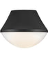 Haddie 1-Light Small Flush Mount in Black
