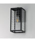 Magnus 1-Light Outdoor Wall Sconce Black