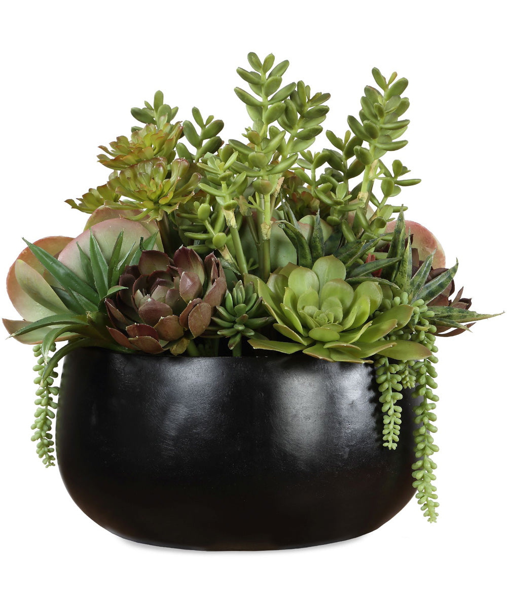 Mico Indoor-Outdoor Succulent Centerpiece