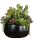 Mico Indoor-Outdoor Succulent Centerpiece