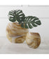 Fusion Swirled Caramel & Ivory Vases, Set of 2