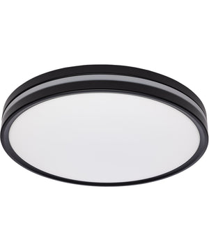 Close-to-Ceiling Matte Black