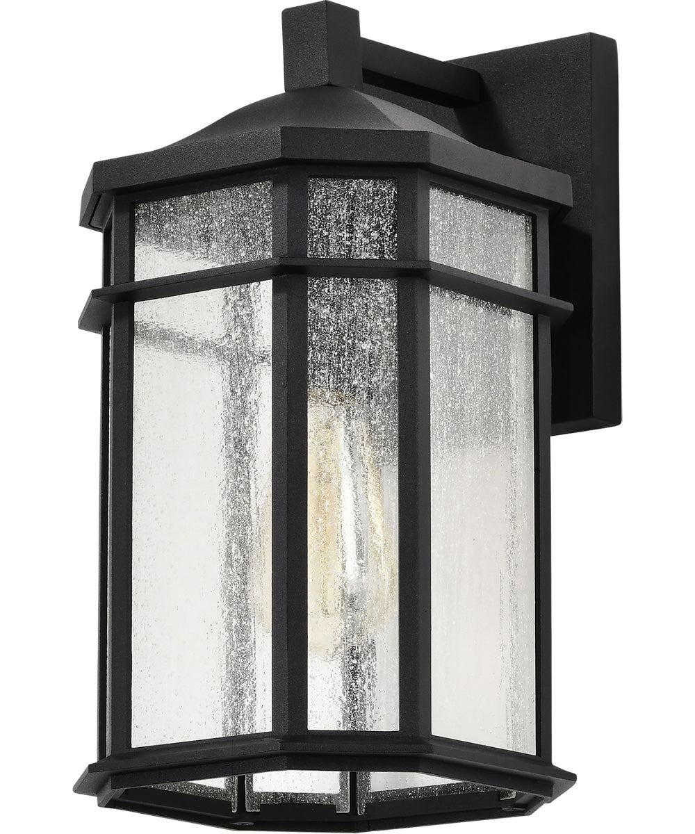 Raiden 1-Light Outdoor Matte Black