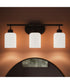 Reines 3-Light Bath Vanity with Opal Glass Shades Matte Black