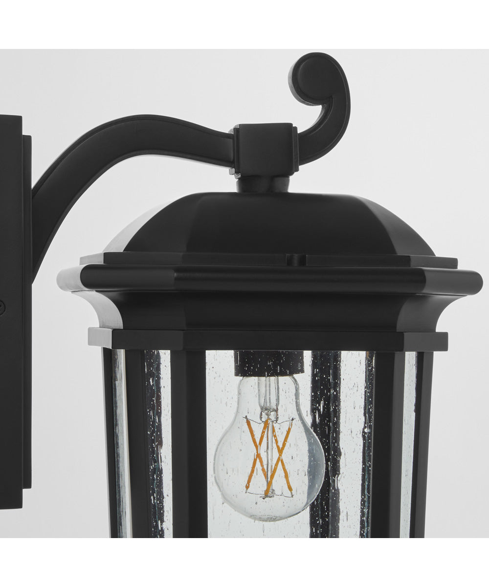 Murphy 1-light Outdoor Wall Lantern Matte Black