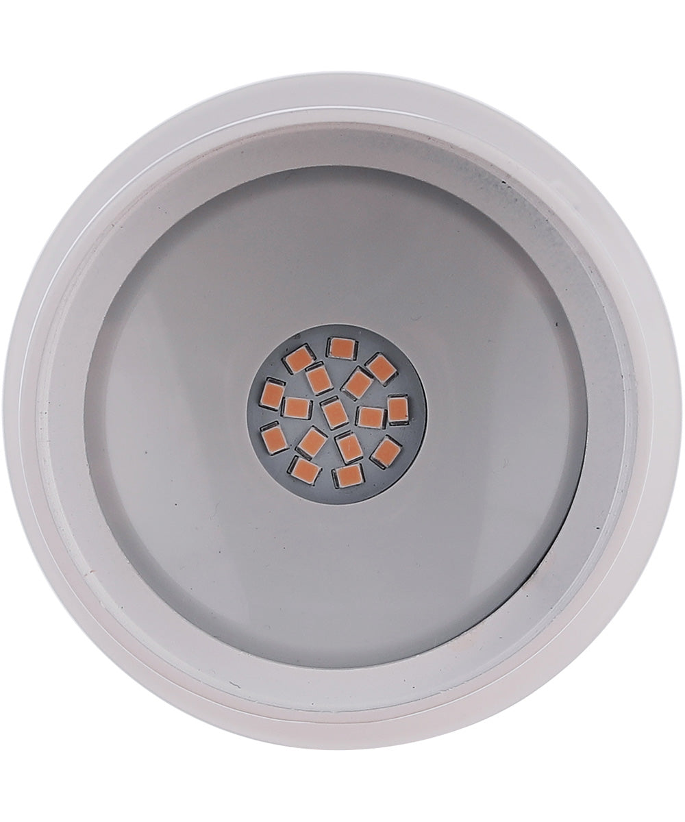 LED Flood Outdoor Lighting White