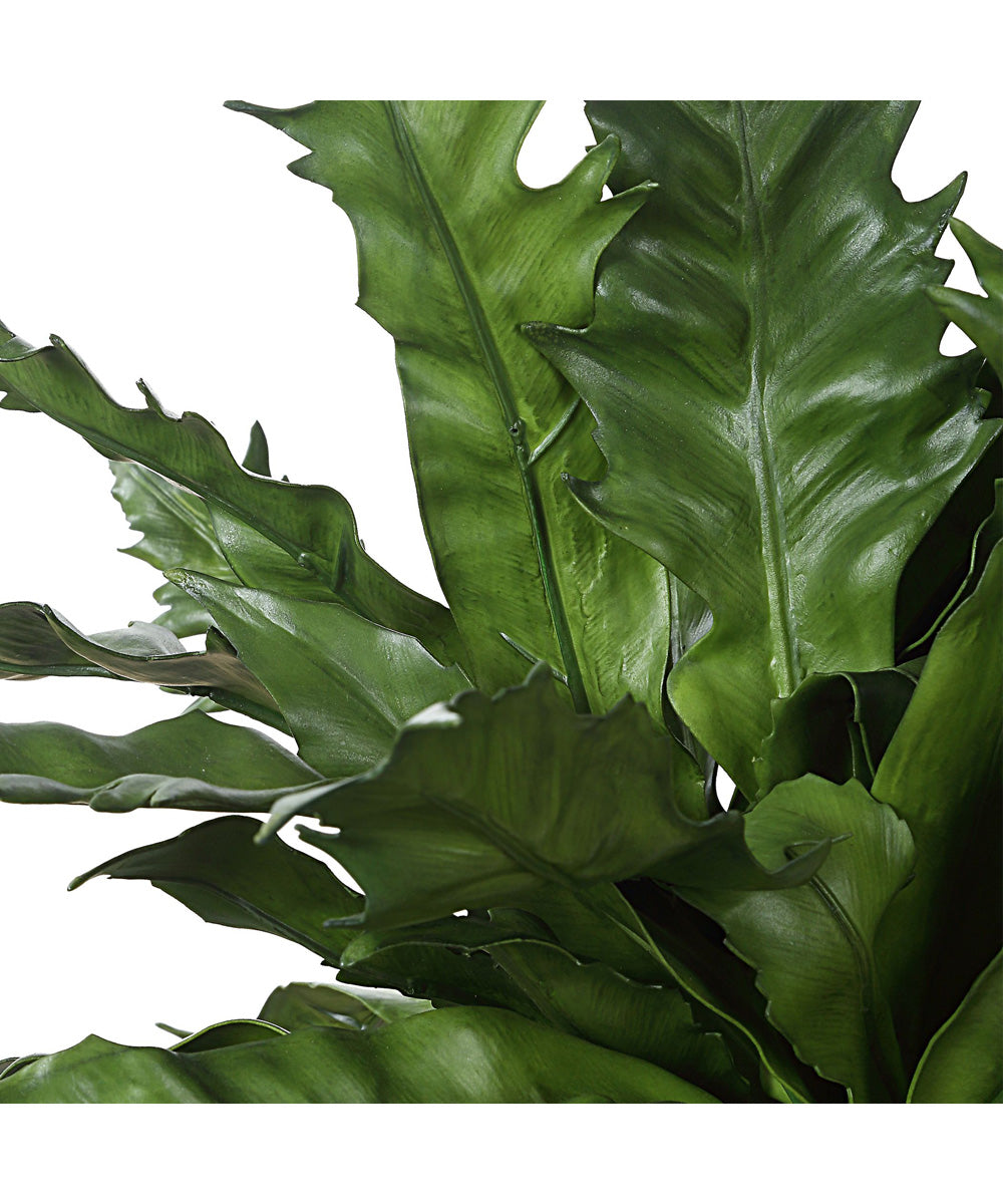 Verdure Fern In Glazed Pot