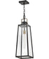 Hugh 1-Light Large Hanging Lantern in Black