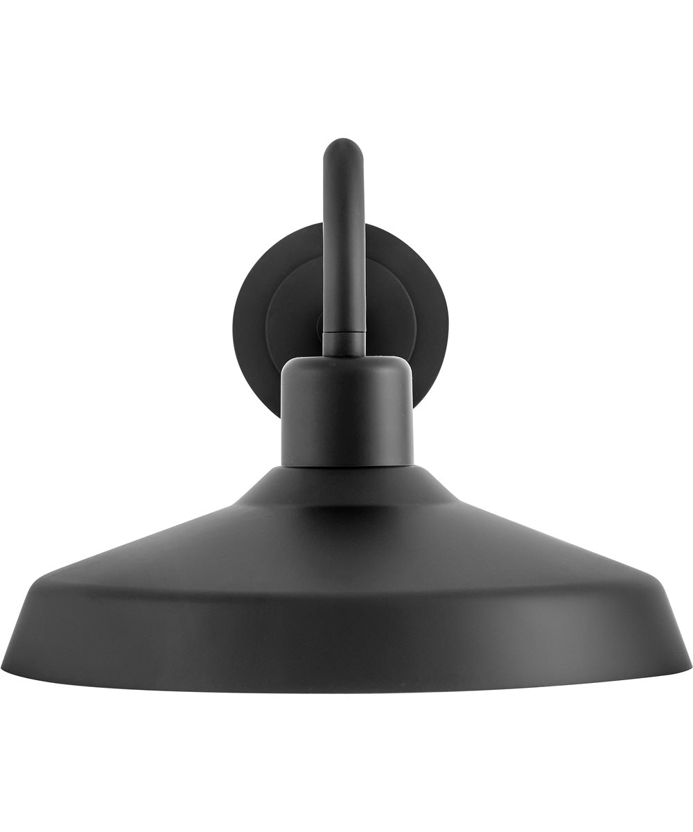 Forge 1-Light Medium Wall Mount Lantern in Black