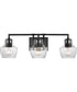 Destin 3-Light Vanity & Wall Black / Silver Accents