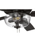 EOS 2 Light Clear Bowl 52" Ceiling Fan 2-Light Fan Flat Black