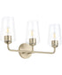 Celino 3-Light Bath & Vanity Champagne Bronze