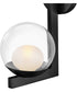 Sunni 1-Light Medium Single Light Sconce in Black