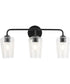 Celino 3-Light Bath & Vanity Black