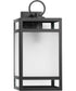 Parrish 1-Light Clear Etched Glass Modern Craftsman Outdoor Large Wall Lantern Matte Black