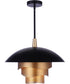 Sculptural Statement Pendants 1-Light Lighting Flat Black/Matte Gold