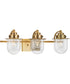 Northlake 3-Light Clear Glass Transitional Bath Light Vintage Brass