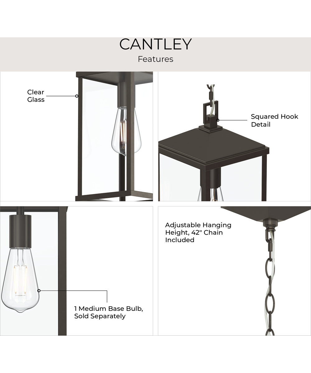 Cantley Outdoor Pendant with Clear Glass Panels Antique Bronze