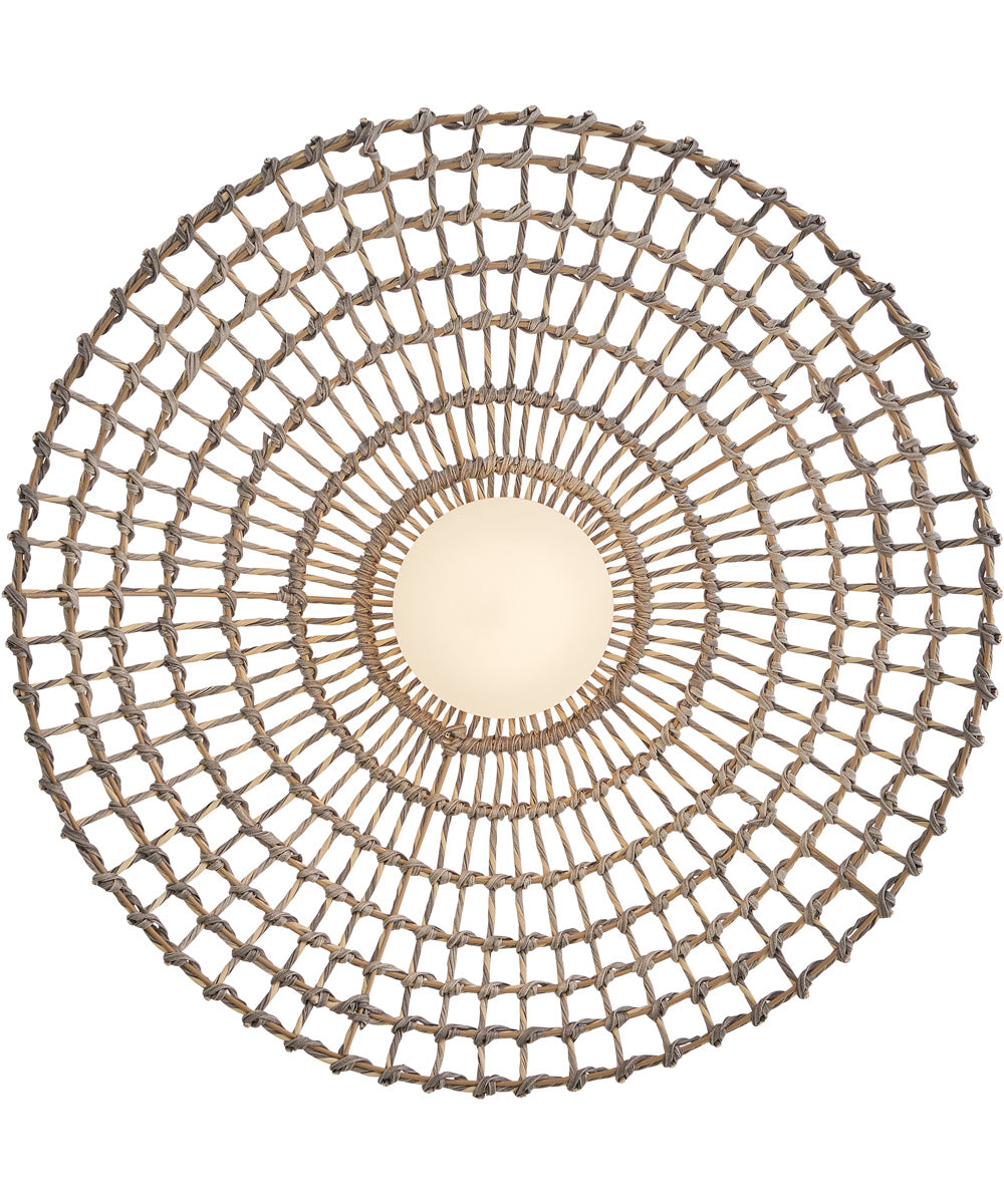 Arlen 1-Light Large Hanging Pendant in Black